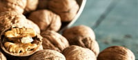 Walnuts a great winter snack item for various health related issues